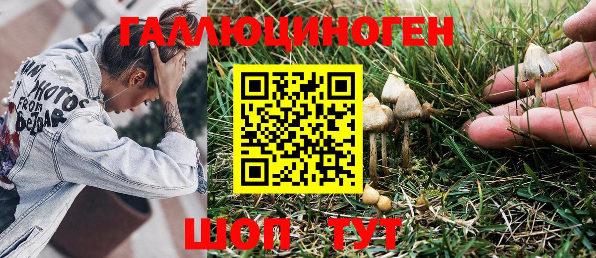 Псилоцибиновые грибы Magic Shrooms Солнечногорск