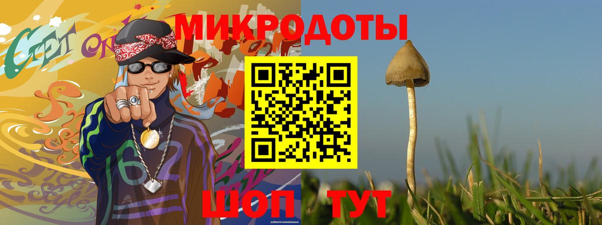 Галлюциногенные грибы ЛСД  что такое наркотик  Солнечногорск  Вход с VPN  Галлюциногенные грибы Magic Shrooms 